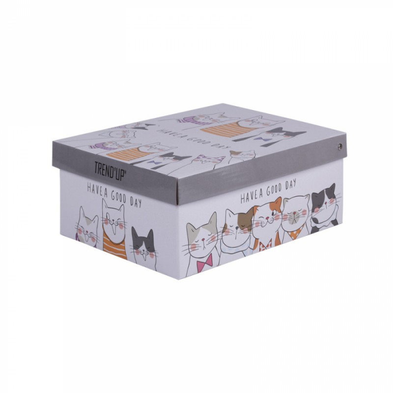 Coffret déjeuner chat 47 cl 