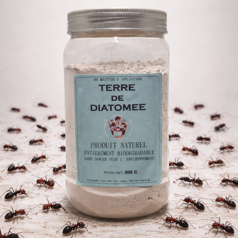 Terre de diatomée