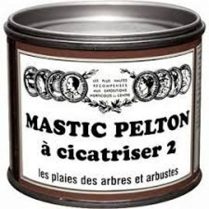 Mastic pelton à cicatriser