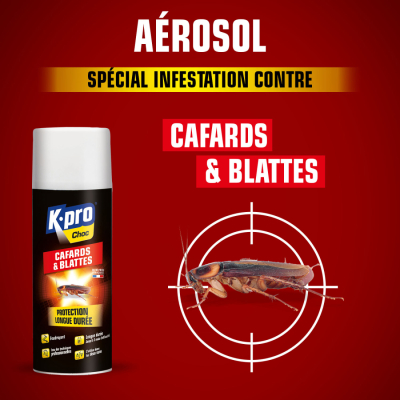 Cafards et Blattes KAPO