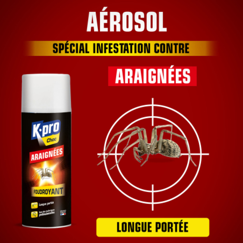 Araignées KAPO