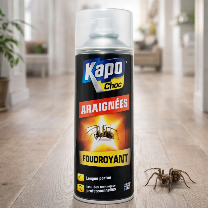 Araignées