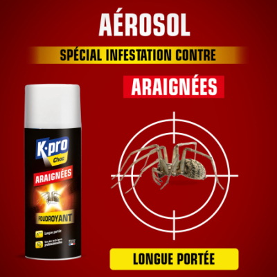 Araignées KAPO